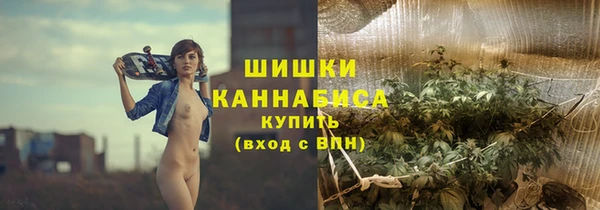мдпв Лиски