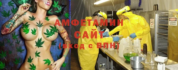 ПСИЛОЦИБИНОВЫЕ ГРИБЫ Лихославль