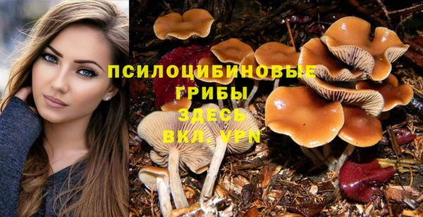 мдпв Лиски