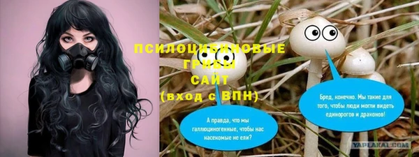 ПСИЛОЦИБИНОВЫЕ ГРИБЫ Лихославль