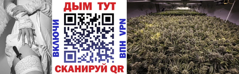 Шишки марихуана VHQ  Купить  Краснокамск 